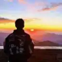 利群-