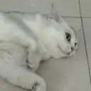 xz
