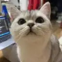 骑龙