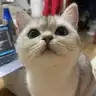 骑龙