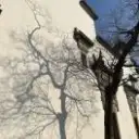 阿歪
