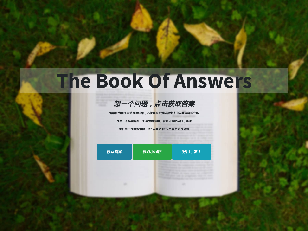 答案之书The Book Of Answers