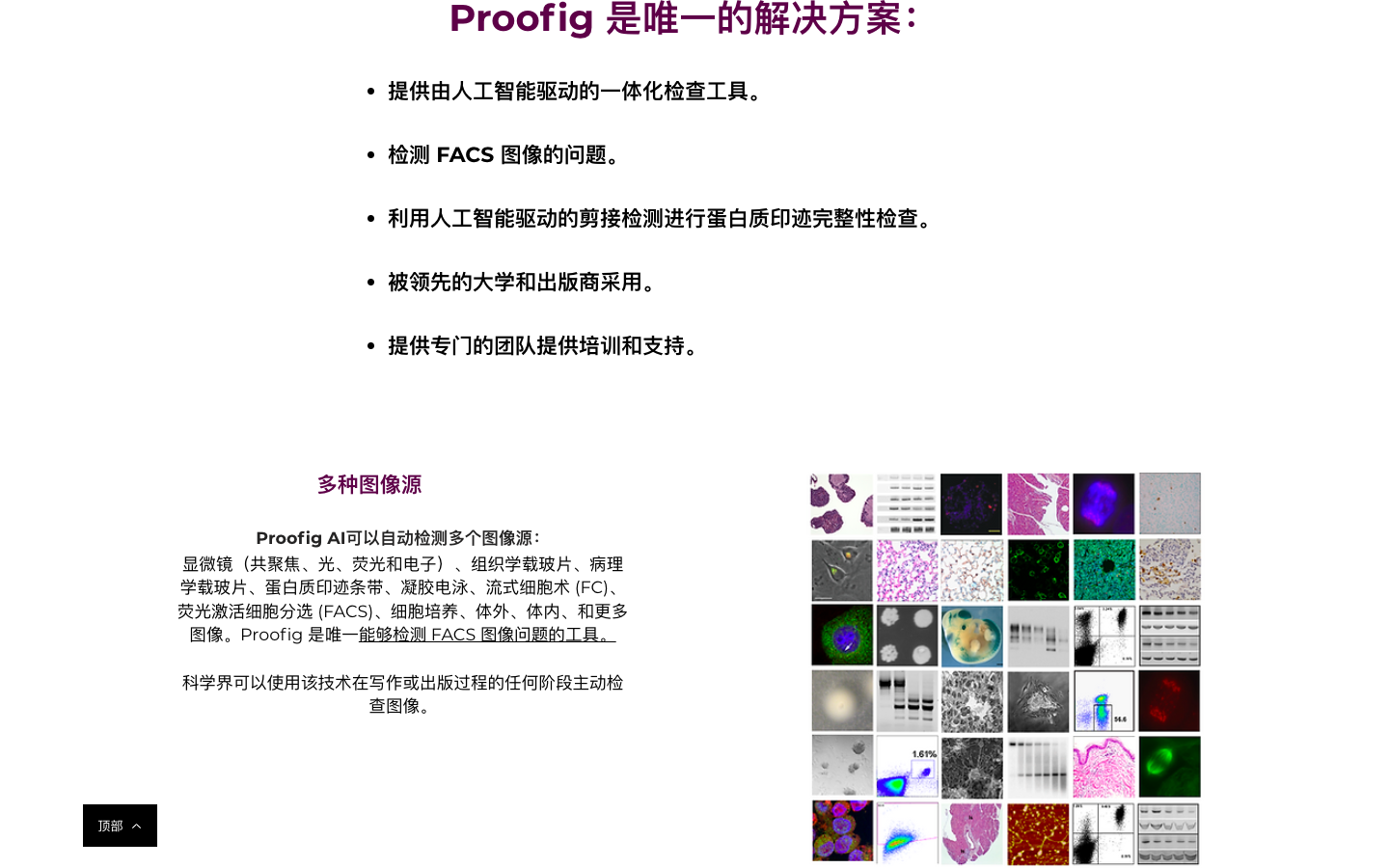 Proofig AI图片抄袭检测器