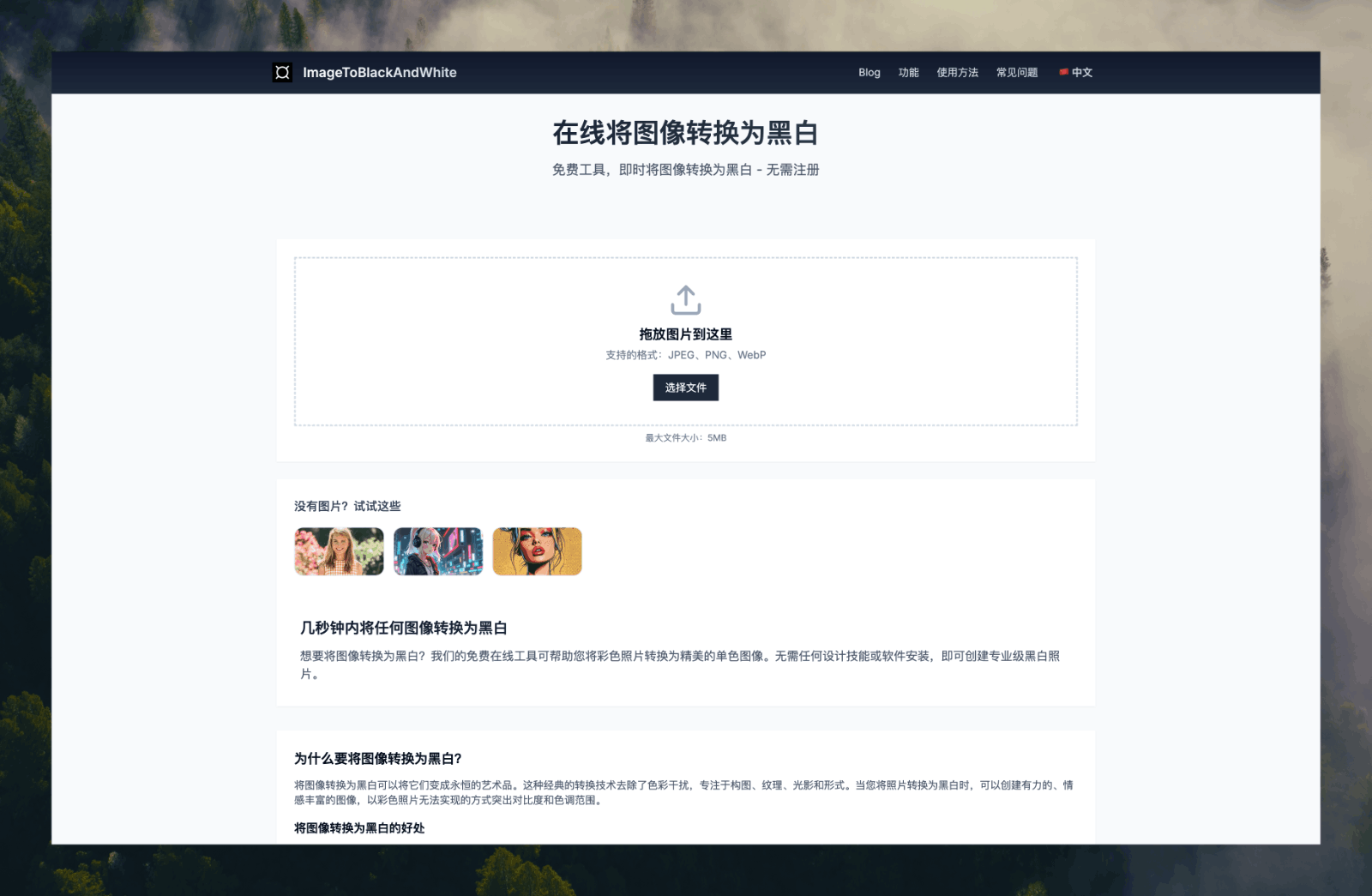 ImageToBlackAndWhite 图像黑白转换