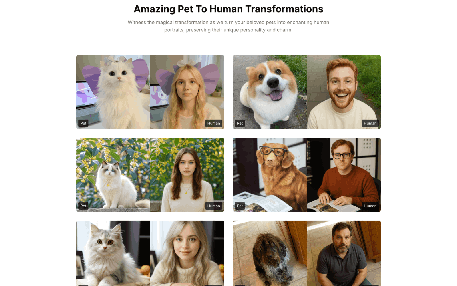 Pet To Human - AI宠物变人像