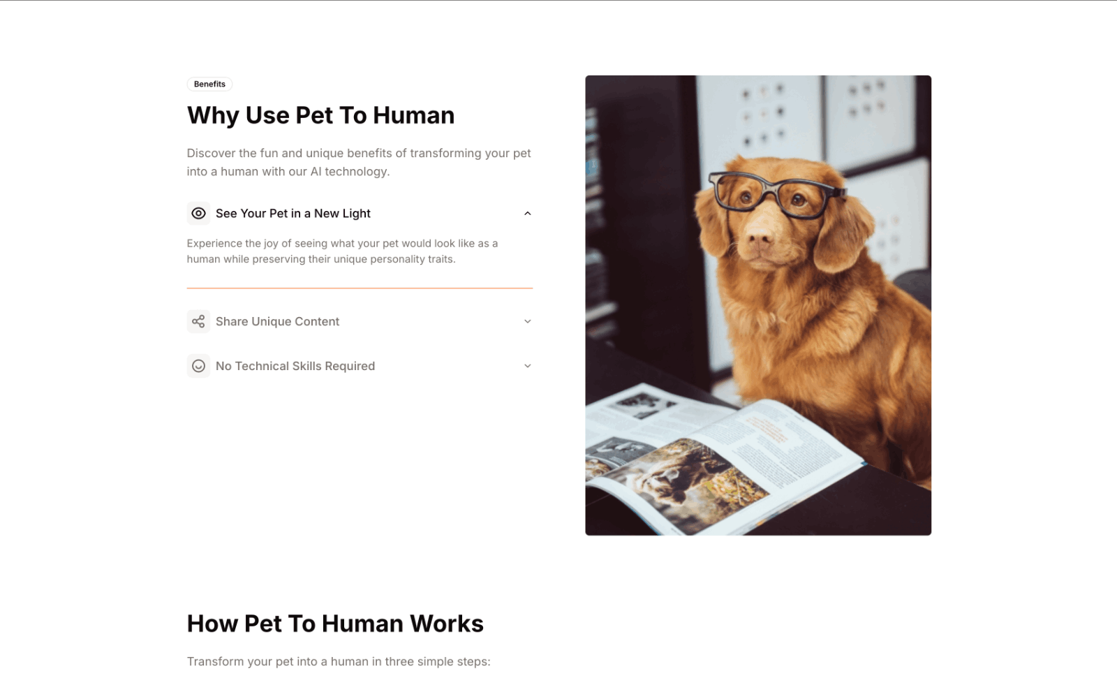 Pet To Human - AI宠物变人像