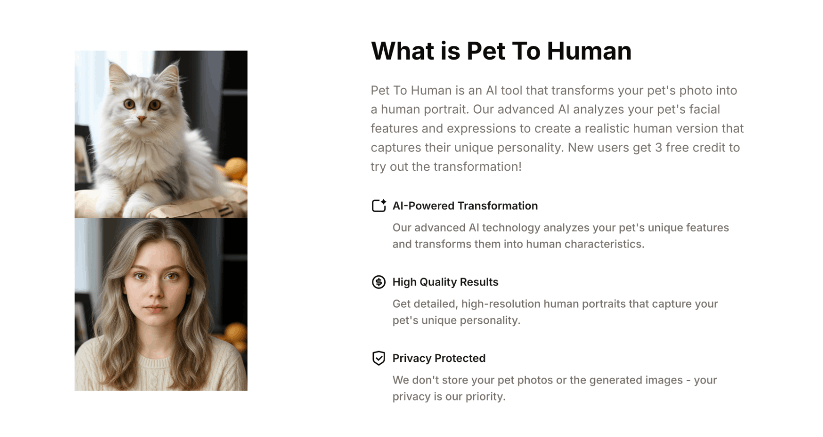 Pet To Human - AI宠物变人像